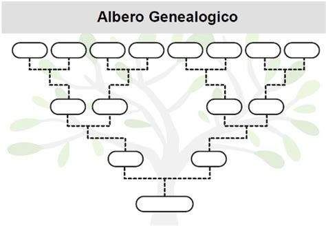 Modello di albero genealogico .